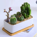 Bandeja de Bambú para Baño y Cocina